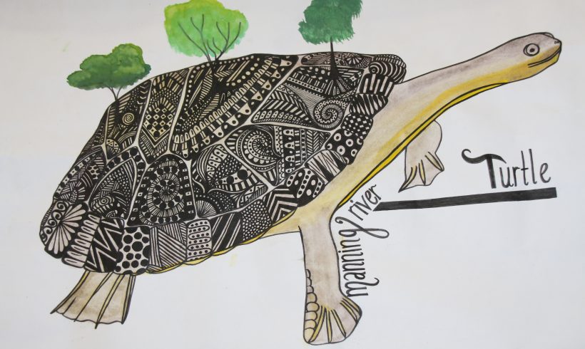 2017 Manning River Turtle Art Competition