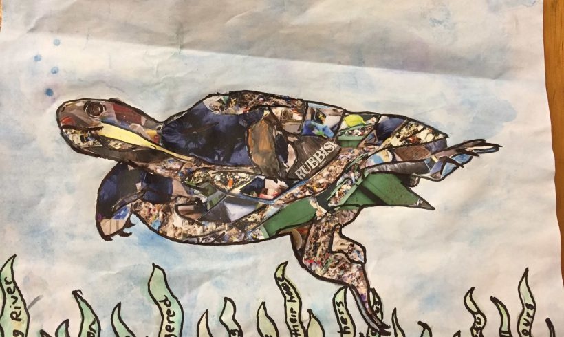 2018 Manning River Turtle Art Competition